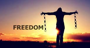 Your Freedom